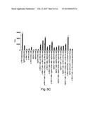 METHODS RELATED TO TIM 3, A TH1-SPECIFIC CELL SURFACE MOLECULE, FOR     ACTIVATING ANTIGEN PRESENTING CELLS diagram and image