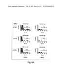 METHODS RELATED TO TIM 3, A TH1-SPECIFIC CELL SURFACE MOLECULE, FOR     ACTIVATING ANTIGEN PRESENTING CELLS diagram and image