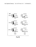 METHODS RELATED TO TIM 3, A TH1-SPECIFIC CELL SURFACE MOLECULE, FOR     ACTIVATING ANTIGEN PRESENTING CELLS diagram and image