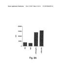 METHODS RELATED TO TIM 3, A TH1-SPECIFIC CELL SURFACE MOLECULE, FOR     ACTIVATING ANTIGEN PRESENTING CELLS diagram and image