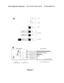 CHIMERIC MOLECULE INVOLVING OLIGOMERIZED FASL EXTRACELLULAR DOMAIN diagram and image