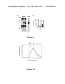 CHIMERIC MOLECULE INVOLVING OLIGOMERIZED FASL EXTRACELLULAR DOMAIN diagram and image