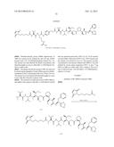 METHODS OF USING MONOMETHYLVALINE COMPOSITIONS HAVING PHENYLALANINE     CARBOXY MODIFICATIONS AT THE C-TERMINUS diagram and image