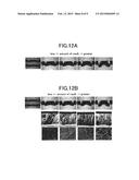 COMPOSITE METAL SHEET, METHOD FOR JOINING METAL SHEETS, AND DEVICE FOR     JOINING METAL SHEETS diagram and image