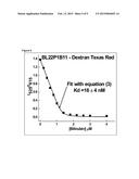 DEVELOPMENT AND USE OF FLUORESCENT PROBES OF UNBOUND BILIRUBIN diagram and image