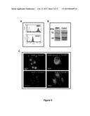 Method and a Kit To Detect Malignant Tumors and Provide a Prognosis diagram and image