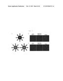 METHOD AND KIT FOR ANALYZING PROTEIN-PROTEIN INTERACTION USING NANOCLUSTER     FORMATION diagram and image