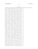 SIMIAN ADENOVIRUS AND HYBRID ADENOVIRAL VECTORS diagram and image