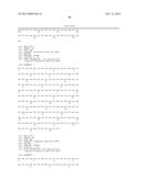 SIMIAN ADENOVIRUS AND HYBRID ADENOVIRAL VECTORS diagram and image