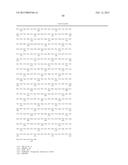 SIMIAN ADENOVIRUS AND HYBRID ADENOVIRAL VECTORS diagram and image