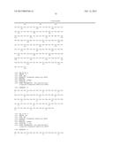 SIMIAN ADENOVIRUS AND HYBRID ADENOVIRAL VECTORS diagram and image