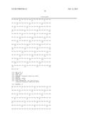 SIMIAN ADENOVIRUS AND HYBRID ADENOVIRAL VECTORS diagram and image