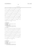 SIMIAN ADENOVIRUS AND HYBRID ADENOVIRAL VECTORS diagram and image