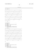 SIMIAN ADENOVIRUS AND HYBRID ADENOVIRAL VECTORS diagram and image