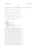 SIMIAN ADENOVIRUS AND HYBRID ADENOVIRAL VECTORS diagram and image