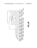 Methods of Diagnosing or Treating Prostate Cancer Using the ERG Gene,     Alone or in Combination with Other over or Under Expressed Genes in     Prostate Cancer diagram and image