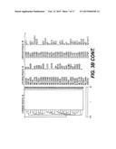 Methods of Diagnosing or Treating Prostate Cancer Using the ERG Gene,     Alone or in Combination with Other over or Under Expressed Genes in     Prostate Cancer diagram and image