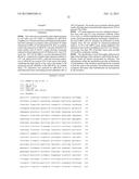 Methods of Diagnosing or Treating Prostate Cancer Using the ERG Gene,     Alone or in Combination with Other over or Under Expressed Genes in     Prostate Cancer diagram and image