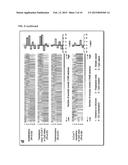 NOVEL MARKERS FOR DETECTING MICROSATELLITE INSTABILITY IN CANCER AND     DETERMINING SYNTHETIC LETHALITY WITH INHIBITION OF THE DNA BASE EXCISION     REPAIR PATHWAY diagram and image