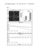 NOVEL MARKERS FOR DETECTING MICROSATELLITE INSTABILITY IN CANCER AND     DETERMINING SYNTHETIC LETHALITY WITH INHIBITION OF THE DNA BASE EXCISION     REPAIR PATHWAY diagram and image