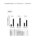 RNA Modulating Oligonucleotides with Improved Characteristics for the     Treatment of Duchenne and Becker Muscular Dystrophy diagram and image