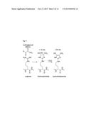 HUMAN ANTIBODIES THAT BIND HUMAN TNF-ALPHA AND METHODS OF PREPARING THE     SAME diagram and image