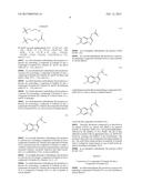 Chemical Process for Preparing Spiroindolones and Intermediates Thereof diagram and image