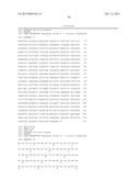 Chemical Process for Preparing Spiroindolones and Intermediates Thereof diagram and image