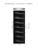 ELECTROCARDIOGRAPHY SIGNAL EXTRACTION METHOD diagram and image