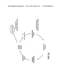 Monitoring System for Identifying an End-Exhalation Carbon Dioxide Value     of Enhanced Clinical Utility diagram and image