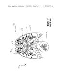 DEVICES AND METHODS FOR TREATING A LUNG diagram and image