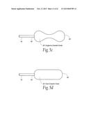 SPHINCTER TREATMENT APPARATUS diagram and image