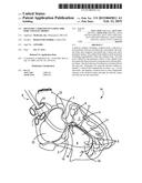 DELIVERY CATHETER INCLUDING SIDE PORT AND ELECTRODES diagram and image