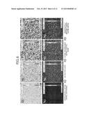 SILICON CARBIDE SEMICONDUCTOR ELEMENT AND FABRICATION METHOD THEREOF diagram and image