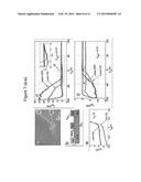 Method and System For Generating a Photo-Response From MoS2 Schottky     Junctions diagram and image