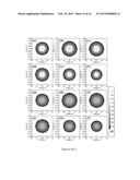 FRACTAL RF COILS FOR MAGNETIC RESONANCE IMAGING diagram and image