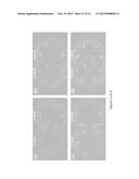 FRACTAL RF COILS FOR MAGNETIC RESONANCE IMAGING diagram and image