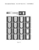 FRACTAL RF COILS FOR MAGNETIC RESONANCE IMAGING diagram and image