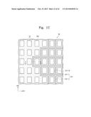 ORGANIC LIGHT EMITTING DISPLAY DEVICE diagram and image