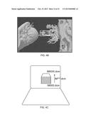 Material Analysis of Anatomical Items diagram and image