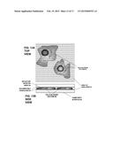 Micro-Optical Cavity with Fluidic Transport Chip for Bioparticle Analysis diagram and image