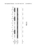 SYSTEMS AND METHODS FOR UPLINK FEEDBACK FOR HIGH-SPEED DOWNLINK PACKET     ACCESS (HSPDA) diagram and image