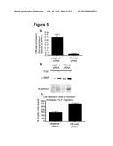 TREATMENT OF FIBROSIS diagram and image