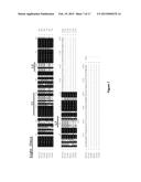 ANTIBODIES TO BRADYKININ B1 RECEPTOR LIGANDS diagram and image