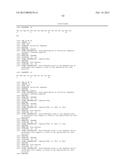 ANTIBODIES TO BRADYKININ B1 RECEPTOR LIGANDS diagram and image