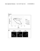 MUSCLE SPECIFIC RECEPTOR KINASE AND MODULATION THEREOF diagram and image