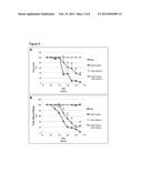 MUSCLE SPECIFIC RECEPTOR KINASE AND MODULATION THEREOF diagram and image