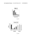 METHODS AND COMPOSITIONS FOR INHIBITION OF INNATE IMMUNE RESPONSES AND     AUTOIMMUNITY diagram and image
