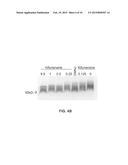 MATERIALS AND METHODS FOR PRODUCING IMPROVED LENTIVIRAL VECTOR PARTICLES diagram and image