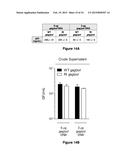 MATERIALS AND METHODS FOR PRODUCING IMPROVED LENTIVIRAL VECTOR PARTICLES diagram and image